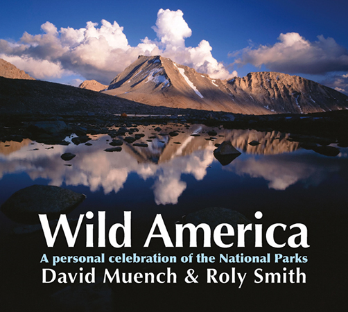 Wild America